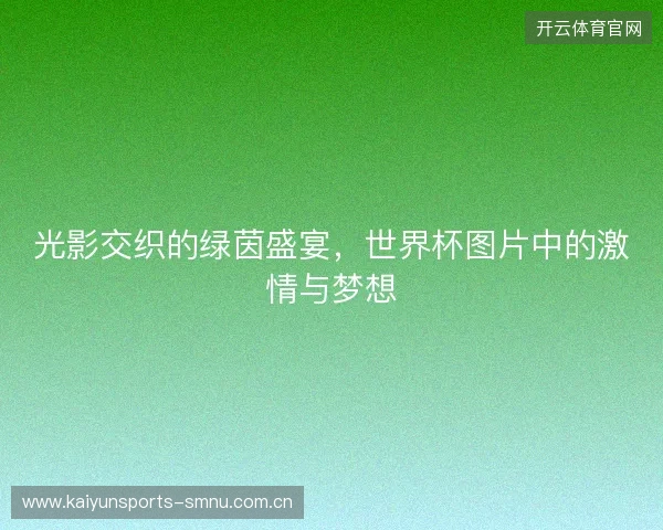 光影交织的绿茵盛宴，世界杯图片中的激情与梦想